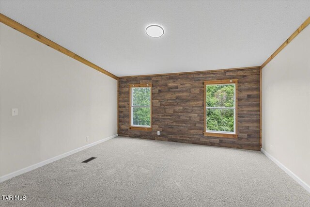14450 Rattle Creek Rd, Abingdon, VA 24210 - carpeted empty room with wooden walls, vaulted ceiling, baseboards, and healthy amount of natural light