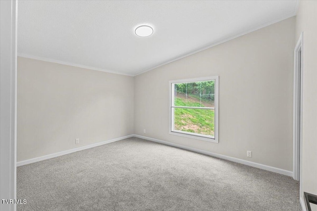 14450 Rattle Creek Rd, Abingdon, VA 24210 - empty room featuring carpet, vaulted ceiling, baseboards, and ornamental molding