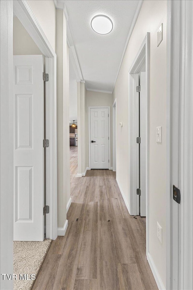 14450 Rattle Creek Rd, Abingdon, VA 24210 - hallway featuring crown molding, wood finished floors, and baseboards