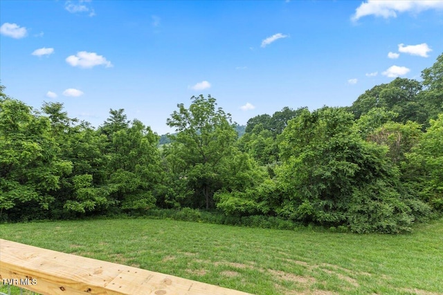 14450 Rattle Creek Rd, Abingdon, VA 24210 - view of grassy yard featuring a forest view