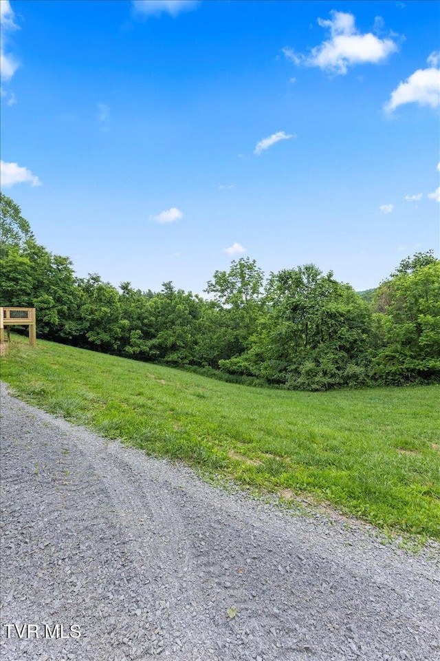 14450 Rattle Creek Rd, Abingdon, VA 24210 - view of dirt / gravel road featuring a forest view