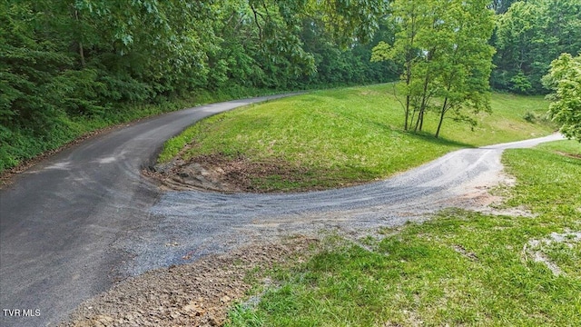 14450 Rattle Creek Rd, Abingdon, VA 24210 - view of road with a view of trees