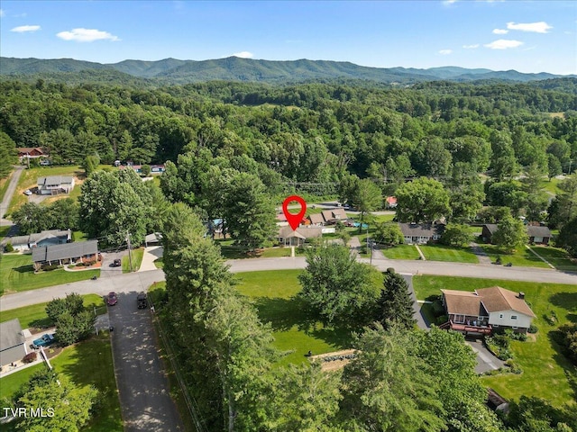 152 Ezee St, Elizabethton, TN 37643 - bird's eye view of a forest and a mountain backdrop