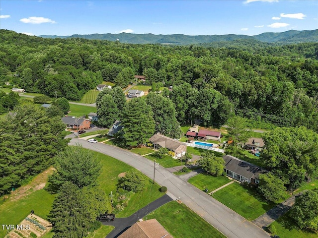 152 Ezee St, Elizabethton, TN 37643 - aerial overview of property's location with a forest and a mountain backdrop