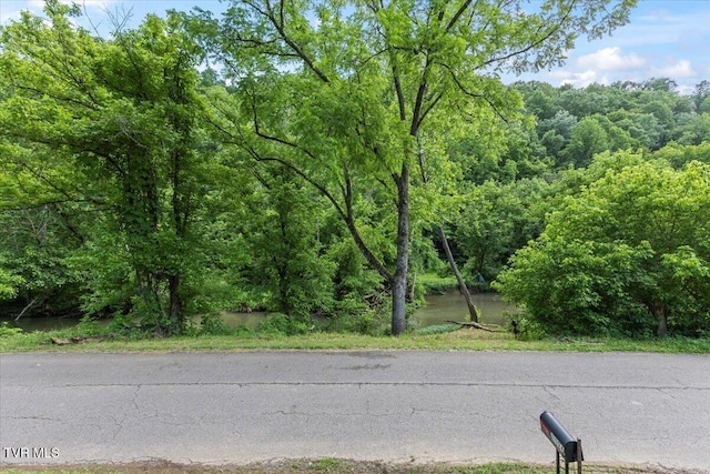 1126 Ruritan Run Rd, Gate City, VA 24251 - photo 35