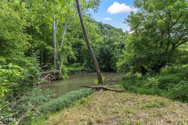 1126 Ruritan Run Rd, Gate City, VA 24251 - photo 36