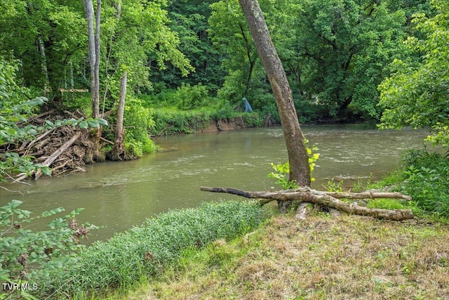 1126 Ruritan Run Rd, Gate City, VA 24251 - photo 37