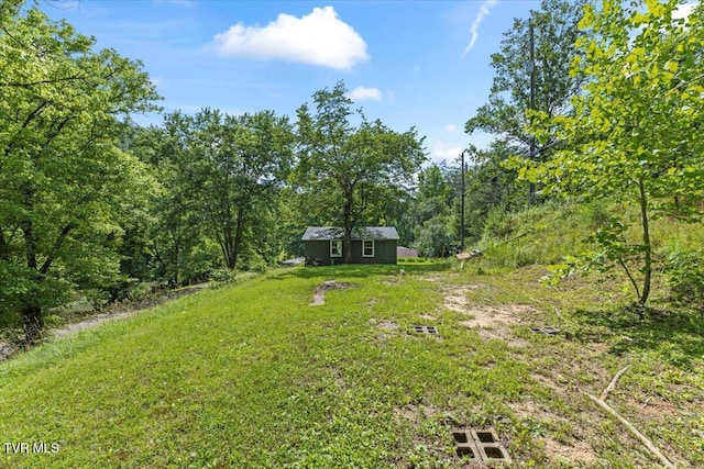 1126 Ruritan Run Rd, Gate City, VA 24251 - photo 11