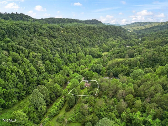 1126 Ruritan Run Rd, Gate City, VA 24251 - photo 39