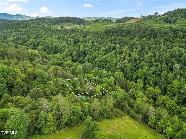 1126 Ruritan Run Rd, Gate City, VA 24251 - photo 40