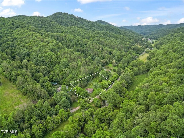1126 Ruritan Run Rd, Gate City, VA 24251 - photo 41