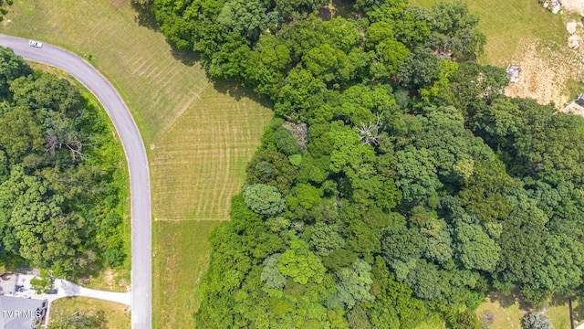 000 Meadowcrest Ln, Dandridge, TN 37725