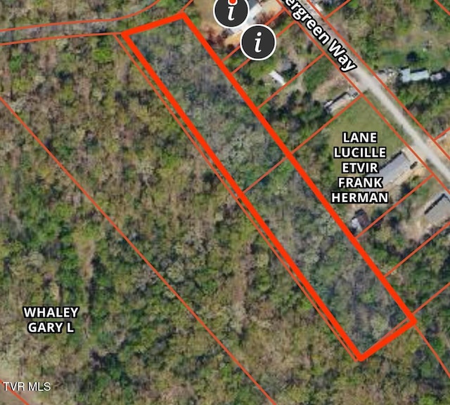 000 Hopkins Rd, Cosby, TN 37722 - photo 5
