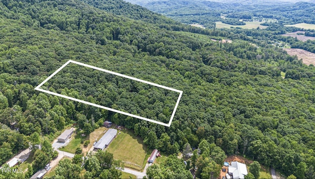 000 Hopkins Rd, Cosby, TN 37722 - photo 4