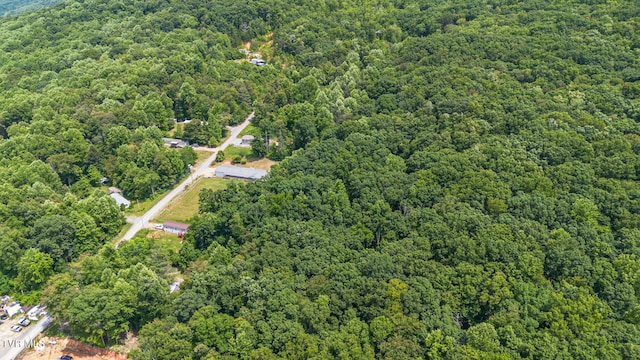 000 Hopkins Rd, Cosby, TN 37722 - photo 8