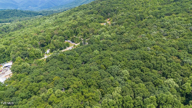 000 Hopkins Rd, Cosby, TN 37722 - photo 9