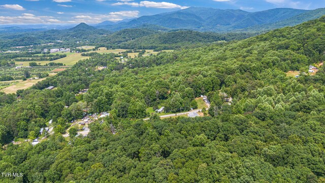 000 Hopkins Rd, Cosby, TN 37722 - photo 10