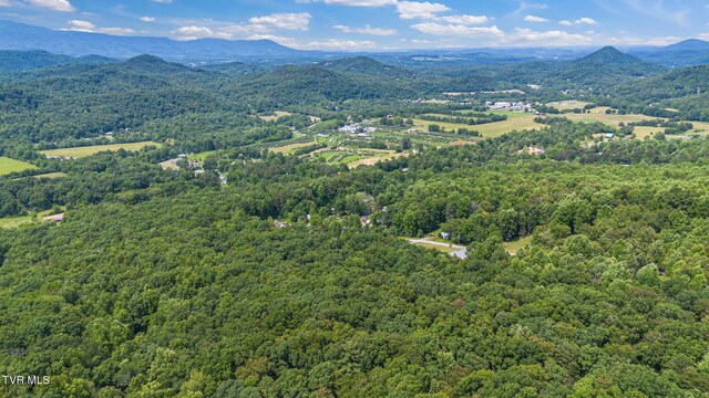 000 Hopkins Rd, Cosby, TN 37722 - photo 11