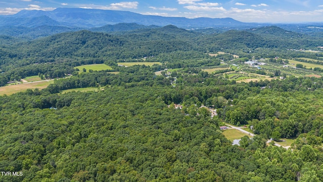 000 Hopkins Rd, Cosby, TN 37722 - photo 12