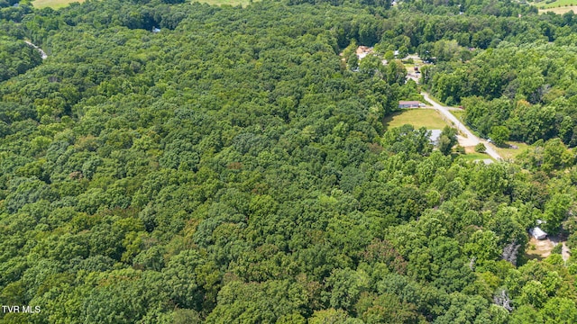 000 Hopkins Rd, Cosby, TN 37722 - photo 13