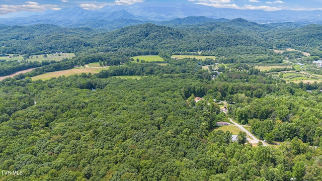 000 Hopkins Rd, Cosby, TN 37722 - photo 14