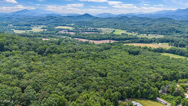 000 Hopkins Rd, Cosby, TN 37722 - photo 16