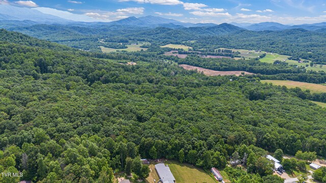 000 Hopkins Rd, Cosby, TN 37722 - photo 17