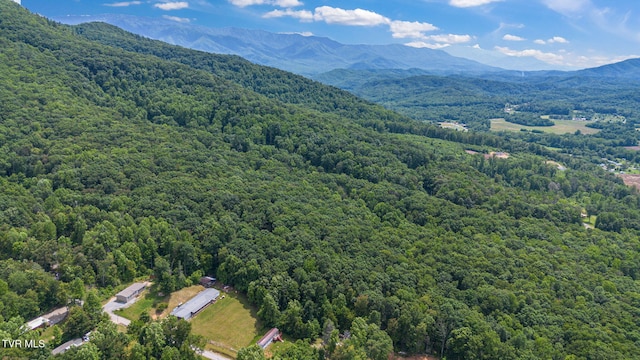 000 Hopkins Rd, Cosby, TN 37722 - photo 20