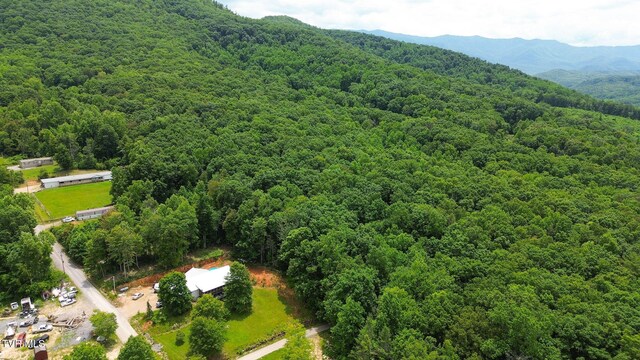 000 Hopkins Rd, Cosby, TN 37722 - photo 21