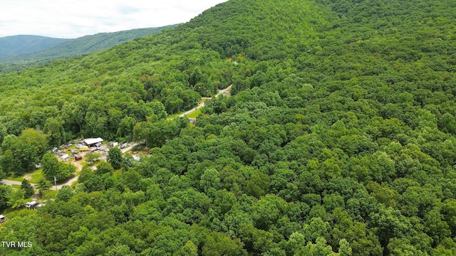 000 Hopkins Rd, Cosby, TN 37722 - photo 23