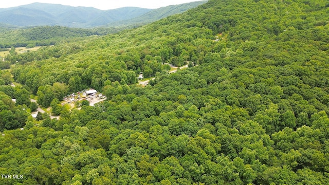 000 Hopkins Rd, Cosby, TN 37722 - photo 24