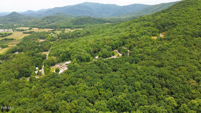 000 Hopkins Rd, Cosby, TN 37722 - photo 25