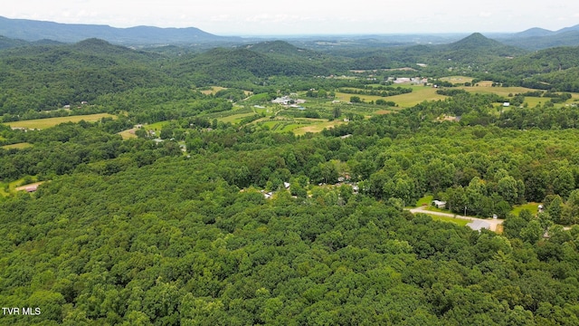 000 Hopkins Rd, Cosby, TN 37722 - photo 26