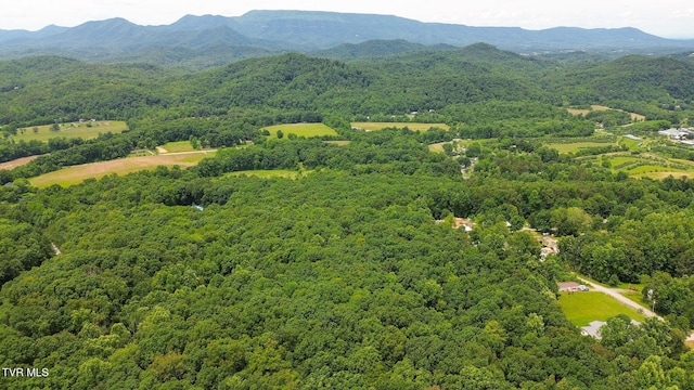 000 Hopkins Rd, Cosby, TN 37722 - photo 27