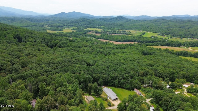000 Hopkins Rd, Cosby, TN 37722 - photo 29