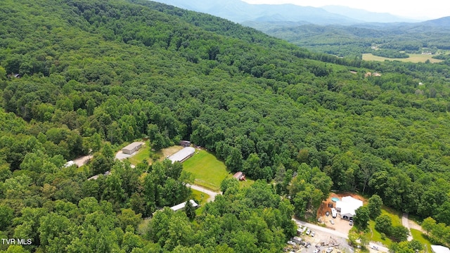 000 Hopkins Rd, Cosby, TN 37722 - photo 30
