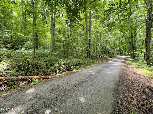 000 Hopkins Rd, Cosby, TN 37722 - photo 1