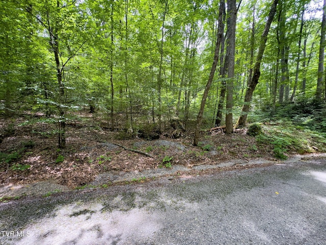 000 Hopkins Rd, Cosby, TN 37722 - photo 2
