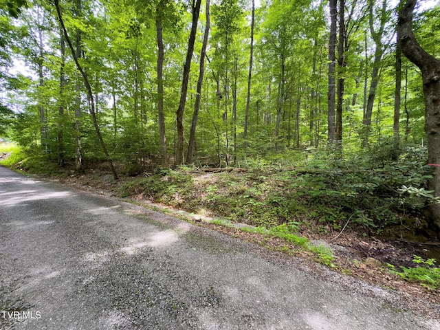000 Hopkins Rd, Cosby, TN 37722 - photo 6