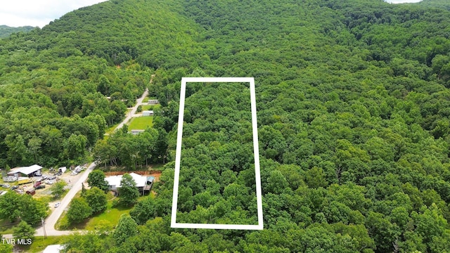 000 Hopkins Rd, Cosby, TN 37722 - photo 3