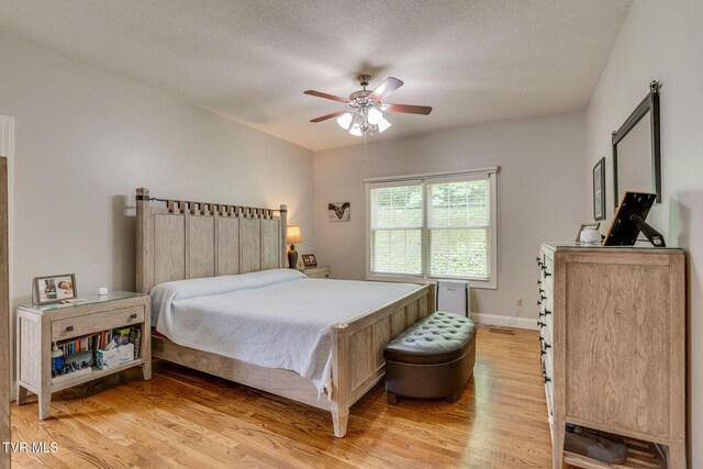 4402 Pickwick Ct, Kingsport, TN 37663 - photo 16