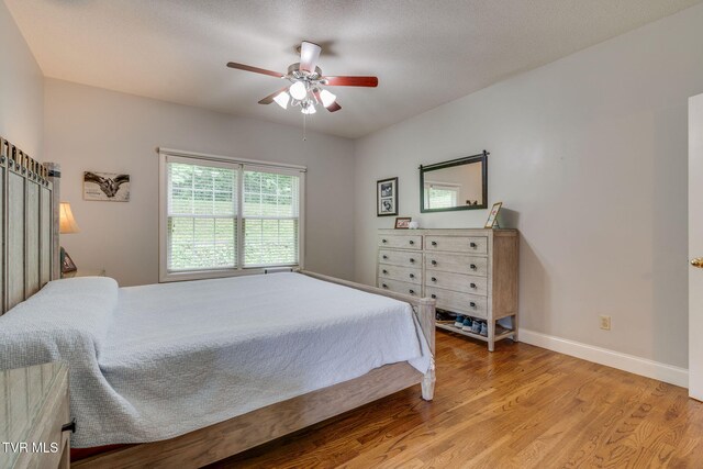 4402 Pickwick Ct, Kingsport, TN 37663 - photo 18
