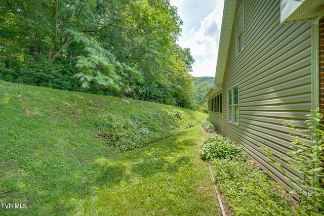 4402 Pickwick Ct, Kingsport, TN 37663 - photo 42