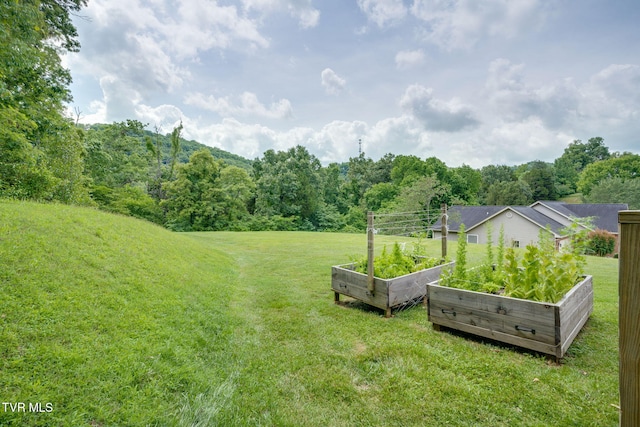 4402 Pickwick Ct, Kingsport, TN 37663 - photo 46