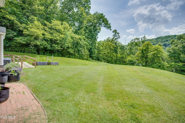 4402 Pickwick Ct, Kingsport, TN 37663 - photo 47