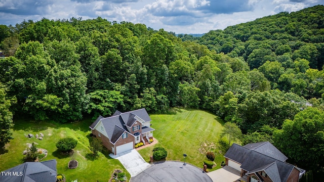 4402 Pickwick Ct, Kingsport, TN 37663 - photo 50