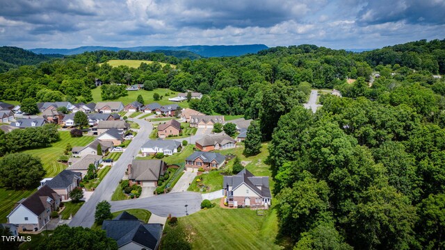 4402 Pickwick Ct, Kingsport, TN 37663 - photo 53