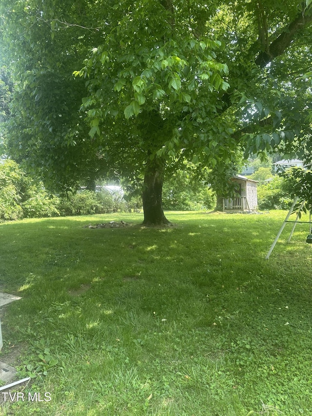 1013 Kentucky Ave, Bristol, TN 37620 - photo 3