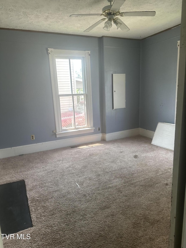 1013 Kentucky Ave, Bristol, TN 37620 - photo 15