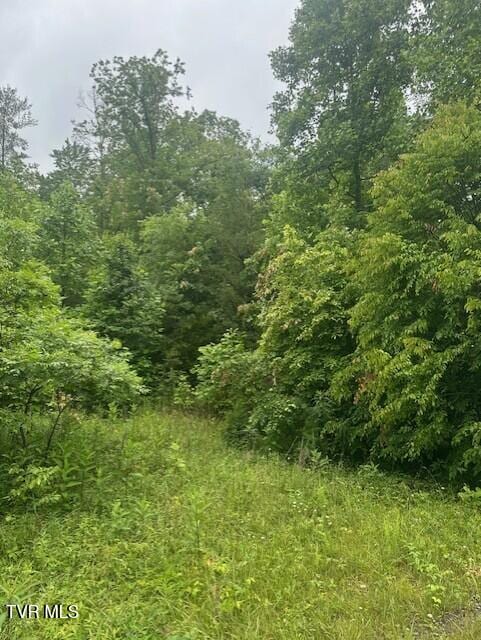 Tbd Laurel Lane, Unicoi, TN 37692